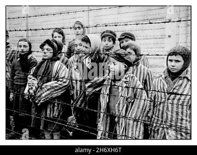 AUSCHWITZ 1945 CHILDREN PRISONERS LIBERATION Child prisoners wearing striped uniforms stare out to their liberators from behind a barbed wire fence in notorious WW2 Nazi death-camp Auschwitz Southern Poland. World War II Second World War Child prisoner survivors of Auschwitz concentration camp wearing adult-size striped prisoner jackets, stand behind a barbed wire fence. Stock Photo