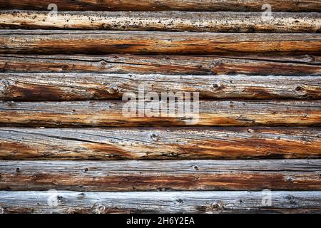 Naturally aged wooden oak logs background. Natural wood texture. Can be used like nature background Stock Photo