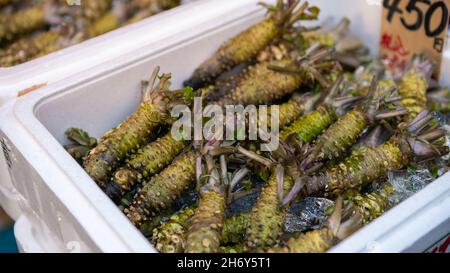 Merchants sale wasabi in famous Tsukiji fish market. Area around the biggest wholesale fish and seafood market in the world with retail shops and rest Stock Photo