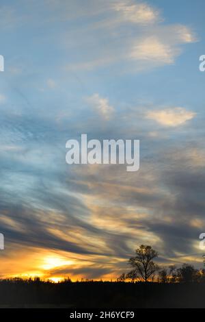 Light clouds in the sky at sunset above a strong horizon line.  A single tree dominated the edge of the land and stands in front of the bright orange Stock Photo