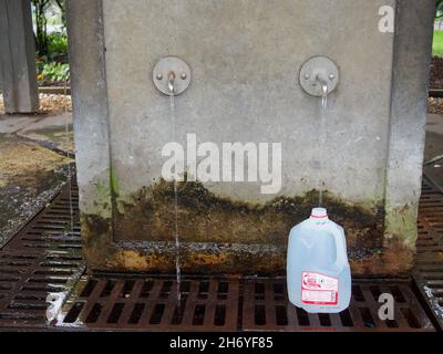 Plastic gallon jug being filled with pure Saratoga Springs water at Saratoga Spa State Park in Saratoga Spring, New York, USA, 2021 © Katharine Andrio Stock Photo