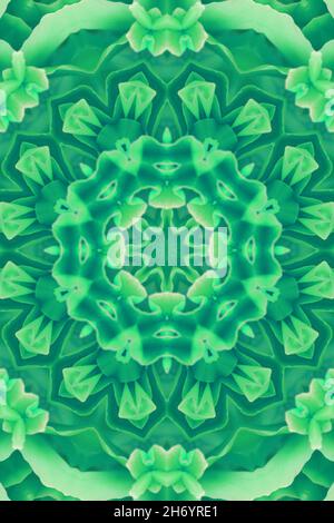 Concentric Flower Close-up. Mandala Kaleidoscopic design. Esoteric magic concept Stock Photo