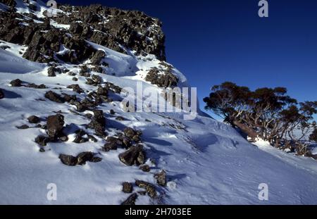 SNOW COVERED MOUNT BEAUTY IN THE VICTORIAN ALPS, AUSTRALIA. Stock Photo