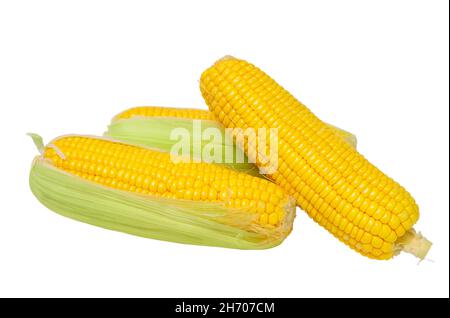 Three cobs of corn isolated on white background Stock Photo