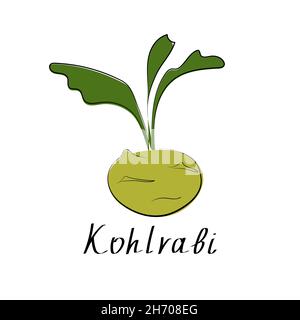 Kohlrabi icon in flat style. Isolated object. Cabbage logo. Isolated object. Organic vegetable food. Vector illustration Stock Vector