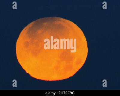Minster on Sea, Kent, UK. 19th Nov, 2021. UK Weather: the partial eclipse of the full Beaver Moon seen from Minster on Sea in Kent this morning. Credit: James Bell/Ģ����ý Live News Stock Photo