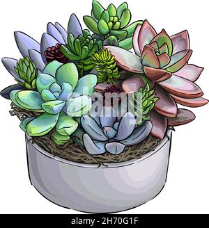 Succulent in a pot from multicolored paints. Splash of watercolor, colored drawing, realistic. Vector illustration of paints Stock Vector