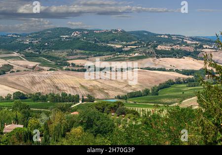 Montepulciano, Tuscany, Italy. August 2020. Amazing landscape of the Tuscan countryside. At the top of the hill the village. Beautiful summer day Stock Photo