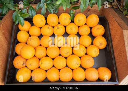 Fresh oranges in a black box are sold in the store. Stock Photo