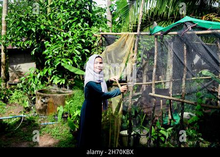 A Muslim woman closes the house plant in rural scene Stock Photo