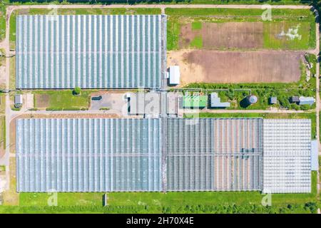 Aerial drone view of huge areas greenhouse for growing vegetables. Farming, agriculture industry. Flying over large industrial greenhouses Stock Photo
