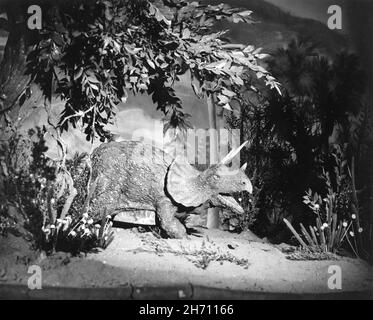 Stop Motion Model of Triceratops Dinosaur created by RAY HARRYHAUSEN for his 1st Animated Short Film EVOLUTION aka EVOLUTION OF THE WORLD an Uncompleted 16mm Project filmed in Colour and in production from 1938 - 1940 Stock Photo