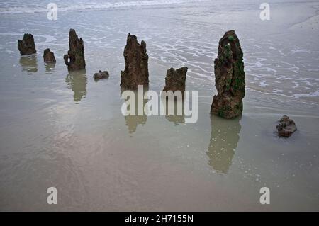 Old wooden posts on a beach close to Brighton, England Stock Photo