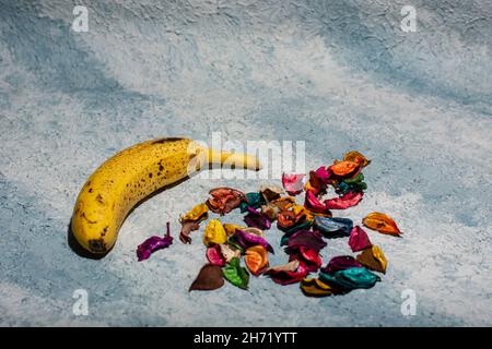 ripe bananas on a blue background Stock Photo