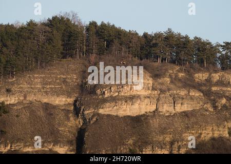 limestone wall mountain jena nature geology autumn copyspace Stock Photo