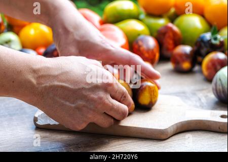 female hands put tomatoes on a chopping board on the table with different colored tomatoes, closeup Stock Photo
