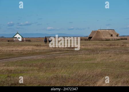 Two Hungarian Csikos riding  in the puszta near typical dwelligs in the Hortobagy National Park, Hungary Stock Photo