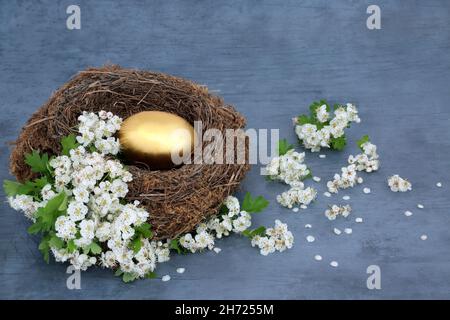 Golden egg in a natural birds nest with spring hawthorn blossom. Savings and investment concept for retirement, long term financial goals. Stock Photo