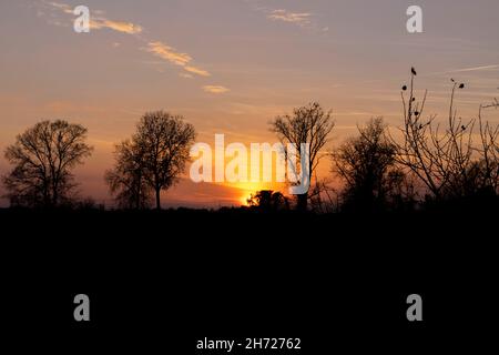 Beautiful, autumn sunset creating black silhouettes of trees on the Sava river bank Stock Photo