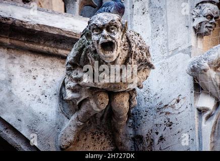 Grotesque gargoyle water spout sculpture on facade of gothic medieval ...