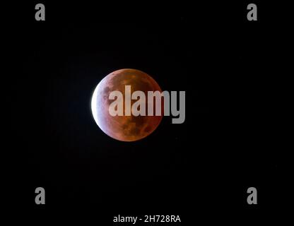 View of the near total lunar eclipse on November 19, 2021 as seen in the eastern United States. Stock Photo