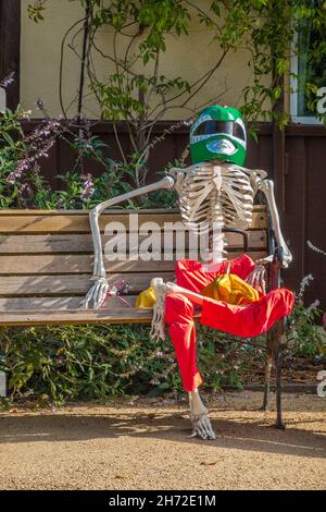 A halloween skeleton dressed up for Halloween Stock Photo