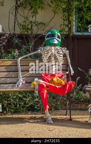 A halloween skeleton dressed up for Halloween Stock Photo