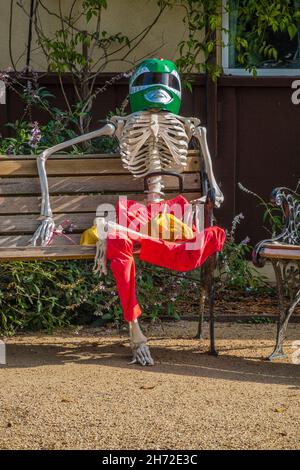 A halloween skeleton dressed up for Halloween Stock Photo