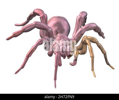 shiny-metal-pink-spider-
