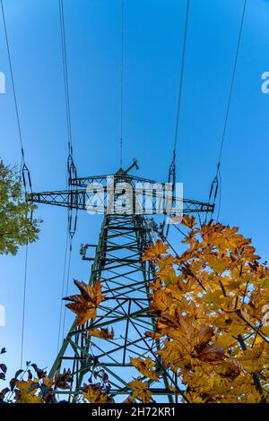 High electricity pylon near trees with golden leaves Stock Photo