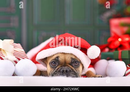 French Bulldog dog with Christmas Santa claus cape with hat lying down in front of green wall Stock Photo