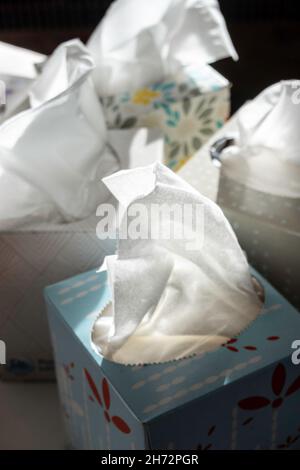 Close-up of facial tissue boxes, USA Stock Photo