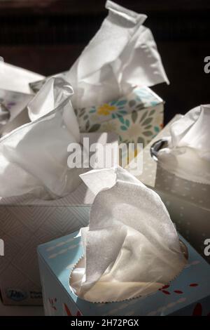 Close-up of facial tissue boxes, USA Stock Photo