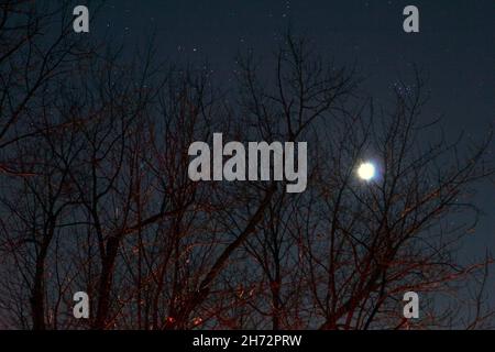 Partial Lunar Eclipse of November 19, 2021 Stock Photo