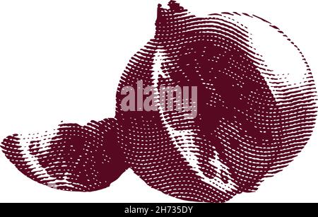 Engraved garnet fruit illustration concept Stock Vector