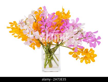 Orchid bouquet in the vase isolated on white background. Orange, purple, pink flowers Stock Photo