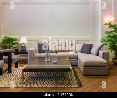 Comfortable grey sofa with cushions placed near square table on rug in spacious modern room with armchairs and green potted plants