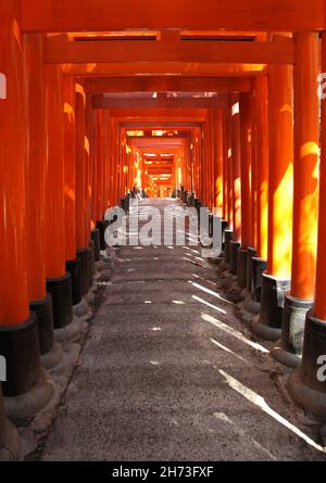 A tunnel of vermillion orange Torii gates at the famous Fushimi-Inari ...