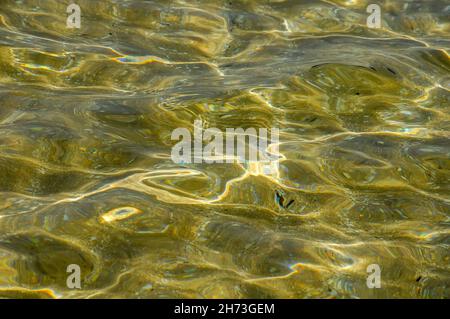 Pacific Ocean transparent ocean water texture. Stock Photo