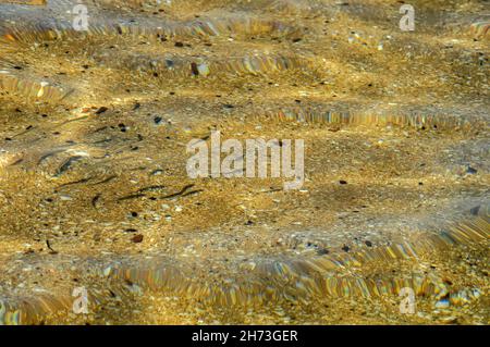 Pacific Ocean transparent ocean water texture. Stock Photo