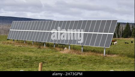 Solar panels facing south in a cow pasture on a cloudy day, near Thunder Bay, Ontario, Canada, North America. Stock Photo