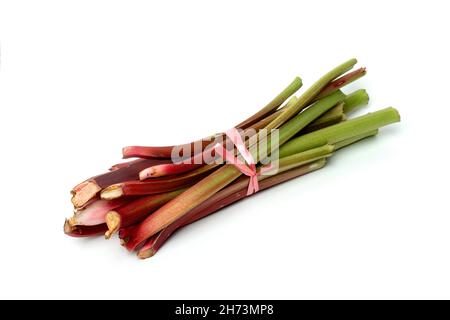 Closeup shot of rhubarb stalks on a white background Stock Photo