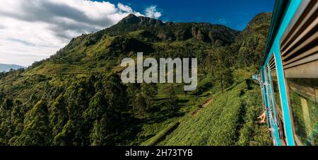 Travel by train, panorama. Road trip. Blue Sri Lankan Train goes through jungles, trees, wood, mountains. Famous blue train in Sri Lanka. Travel to Ce Stock Photo