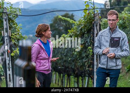 The vines of Tenuta San Giorgio. Expert talk in the vineyard.  At the end of September the harvest is already complete and the cellar work is in full swing, Circolo d'Agno, Switzerland Stock Photo