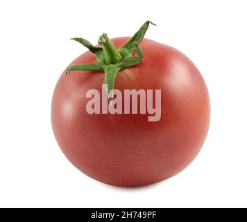 Tomato with a stalk isolated on a white background. Stock Photo