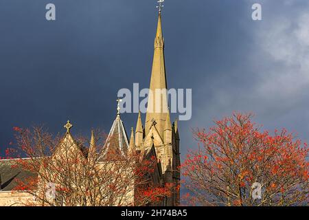 FORRES MORAY SCOTLAND THE STEEPLE OF THE CHURCH OF ST LAURENCE AND RED ROWAN BERRIES ON TREES Sorbus aucuparia IN AUTUMN Stock Photo