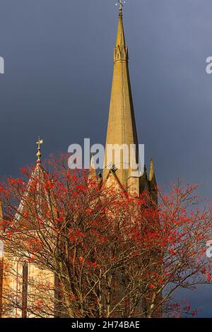 FORRES MORAY SCOTLAND THE STEEPLE OF THE CHURCH OF ST LAURENCE AND RED ROWAN BERRIES Sorbus aucuparia IN AUTUMN Stock Photo