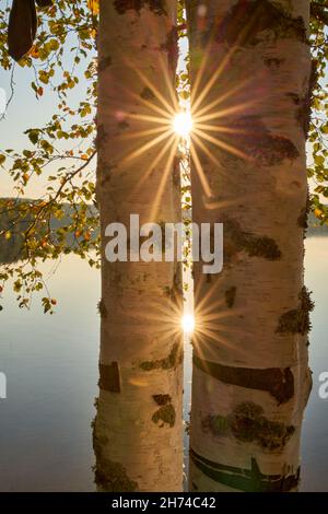 Scenic view at beautiful spring sunset on a shiny lake with green branches, birch trees, bushes, grass, golden sun rays, calm water ,deep blue cloudy Stock Photo