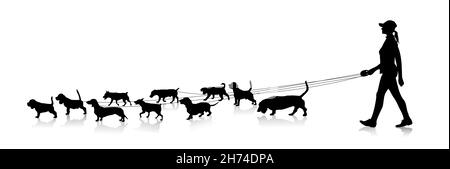 Silhouette of a young girl holding a large number of small dogs on a leash Stock Vector
