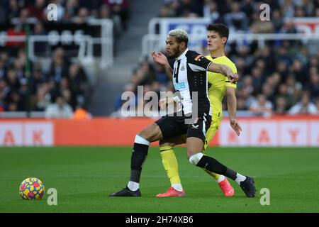 Newcastle, UK. NOV 20TH Joelinton of Newcastle United in action during the Premier League match between Newcastle United and Brentford at St. James's Park, Newcastle on Saturday 20th November 2021. (Credit: Will Matthews | MI News) Credit: MI News & Sport /Alamy Live News Stock Photo